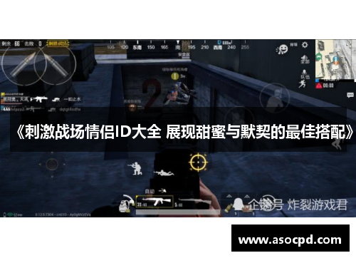 《刺激战场情侣ID大全 展现甜蜜与默契的最佳搭配》 《刺激战场情侣ID大全 展现甜蜜与默契的最佳搭配》