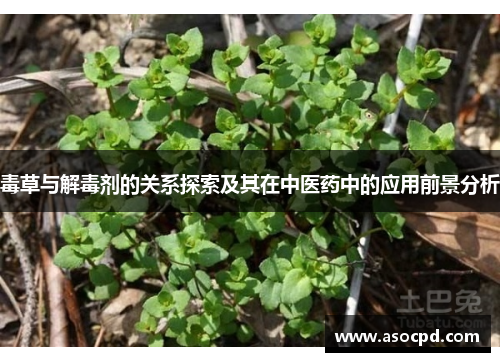 毒草与解毒剂的关系探索及其在中医药中的应用前景分析 毒草与解毒剂的关系探索及其在中医药中的应用前景分析